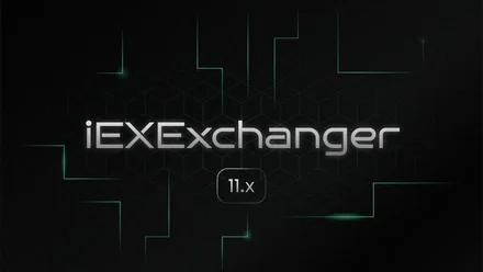 iEXExchanger 11.0.6.1 — микропатч: улучшение очистки и настроек