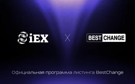 针对iEXExchanger项目的BestChange高级连接功能